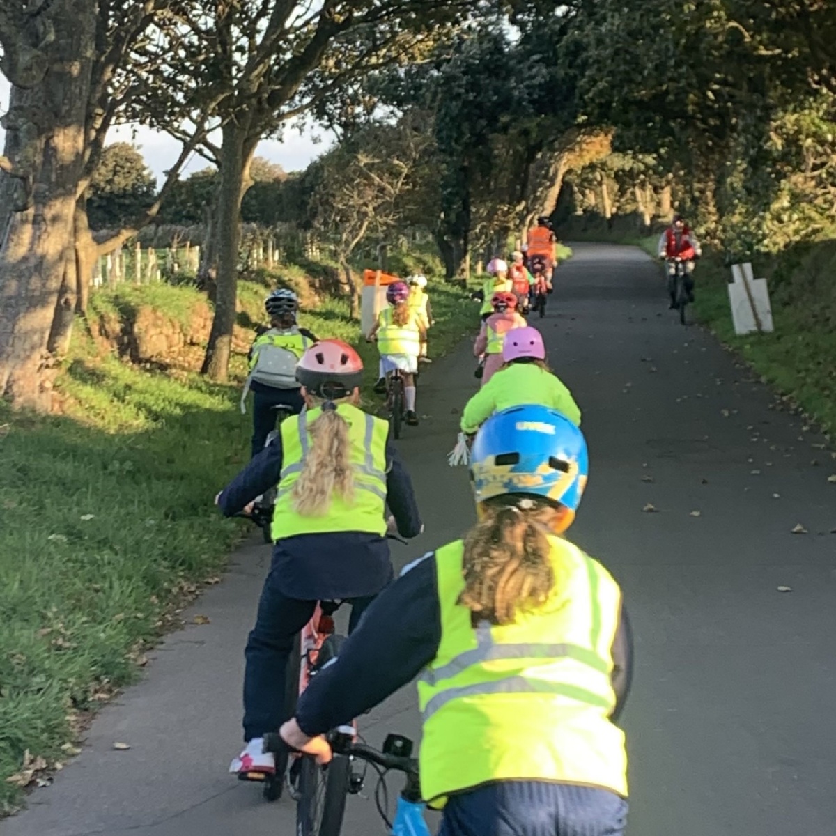 Les Landes School - Summer Term Crocodile